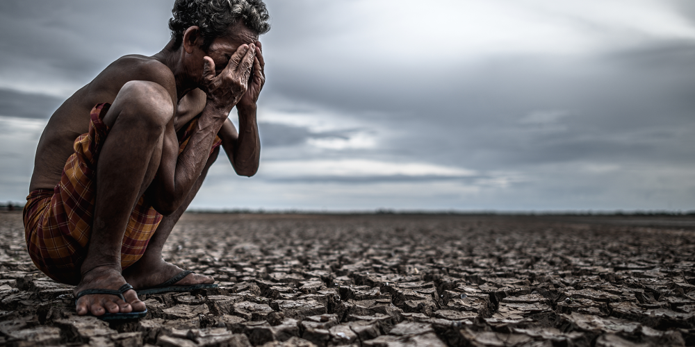Indonesian Civil Society Organizations Urge the European Union to Consider the Deforestation Crisis in Papua in the EUDR Benchmarking System