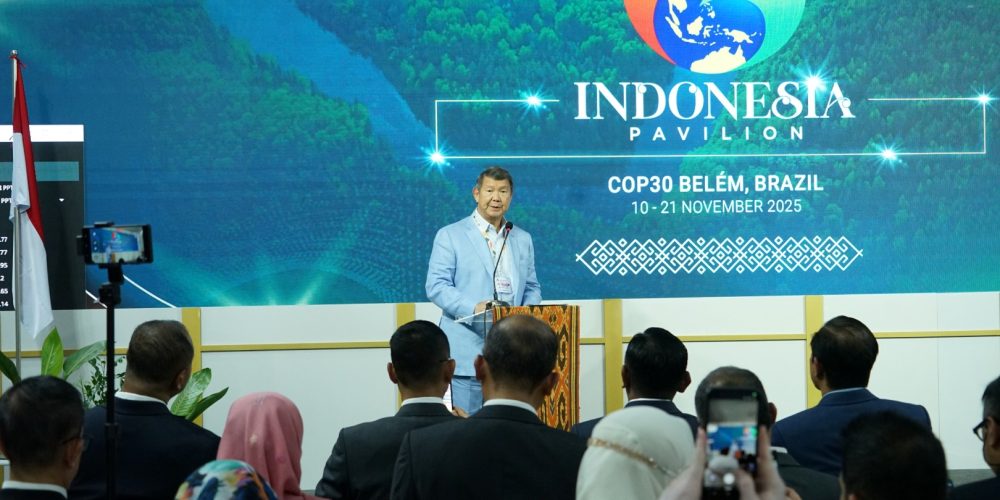 hashim cop 30